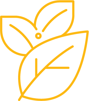 develop whole child icon