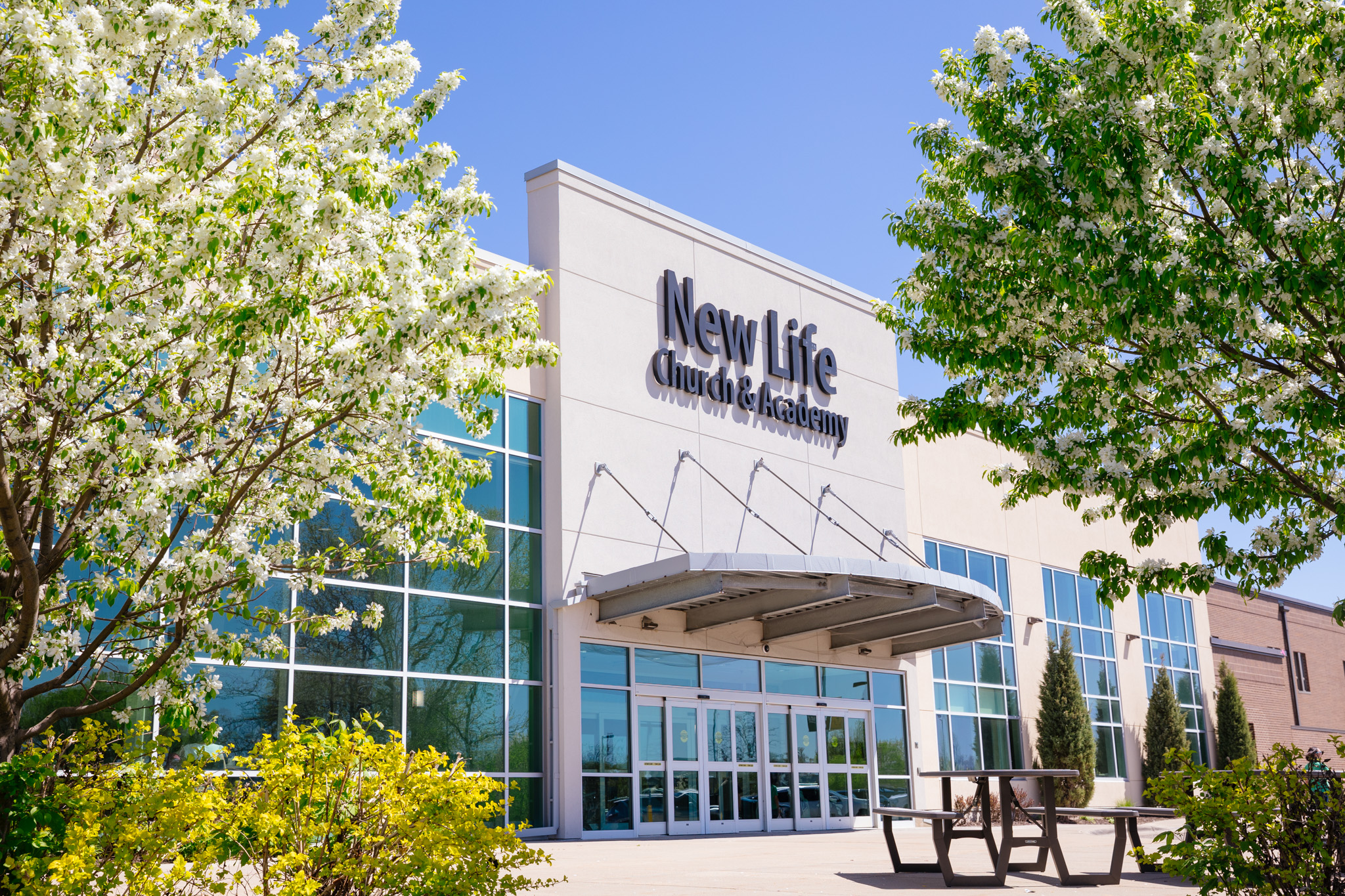 Exterior of the New Life Academy building with glass windows, main entrance, and spring trees in bloom.